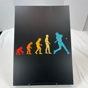 Displate Baseball Evolution Metal Wall Art Matte Black17.7" x 12.6" Unique